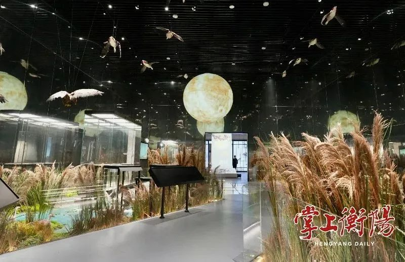 尊龙凯时一人生就是博!(中国)官网